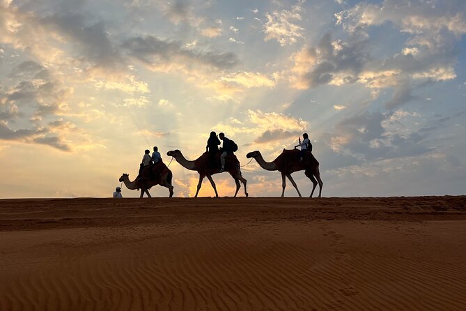 Desert Safari Dubai With BBQ Dinner - Sandboarding Down High Dunes