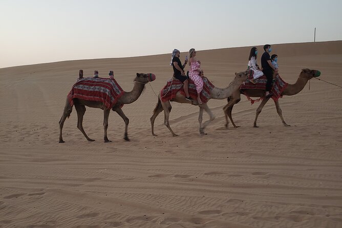 Desert Safari Dubai With Buffet Dinner & 3 Live Shows - Additional Options