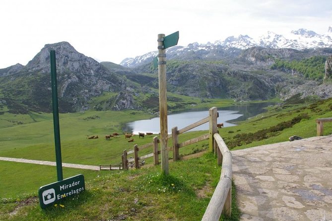 Direct Tour to Covadonga Lakes Picos De Europa From Oviedo - Meeting and Pickup Details