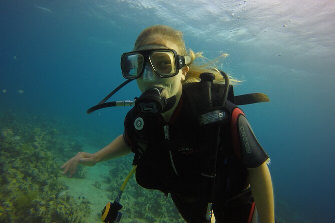 Discover the Coral Reefs in Aqaba - Scuba Experience for Beginners - The Coral Reef Experience