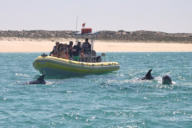 Dolphin Watching at the Arrabida (Lisbon Region) - Includes