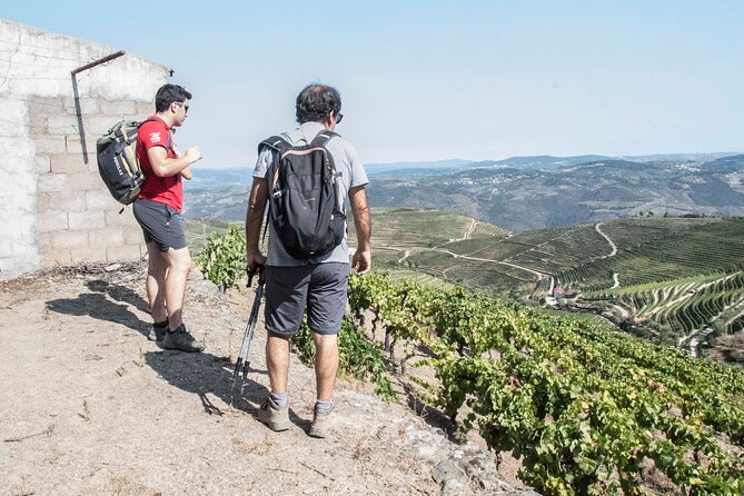 Douro Valley Private Hike&Picnic - Meeting Point