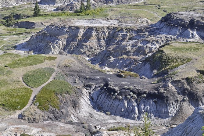 Drumheller (Dinosaur Valley) & Horseshoe Canyon 1-Day Tour - Meeting and Pickup Details