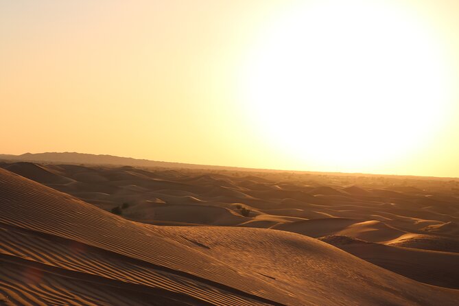 Dubai Desert Safari With Dinner, Dune Bashing and Camel Riding - Meeting and Pickup