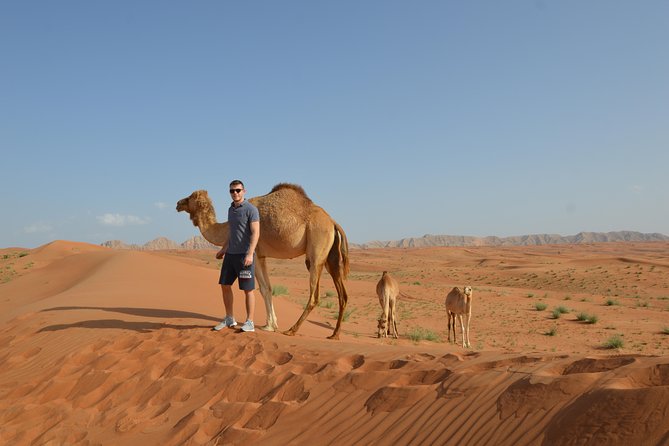 Dubai Self-Drive 4WD Desert and Dune Bash Safari - Jeep Wrangler Convoy