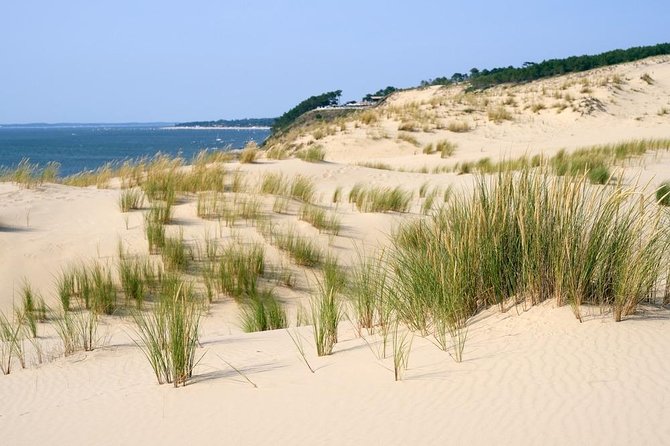 Dune Du Pilat and Oysters Tasting in Only 1 Hour Away From Bordeaux! What Else? - Meeting and Pickup