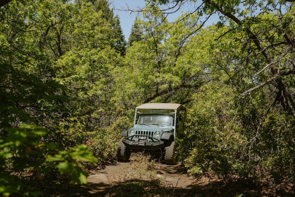 East Zion: Brushy Cove Jeep Adventure - Explore Backcountry Landscapes