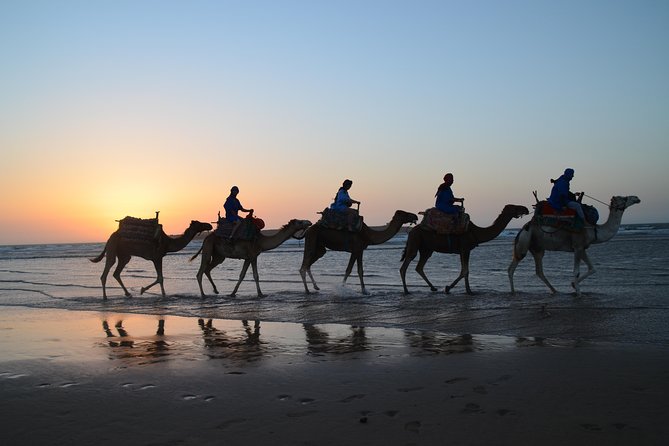 Essaouira 2-Hour Camel Adventure Ride - Included in the Tour