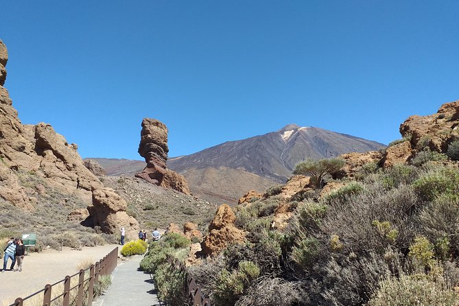 Essential Tenerife and Teide Shore Excursion VIP TOUR - Health Measures