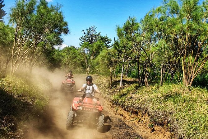 Etna Quad Tour - Half Day - Quad Biking Through Pine Forests