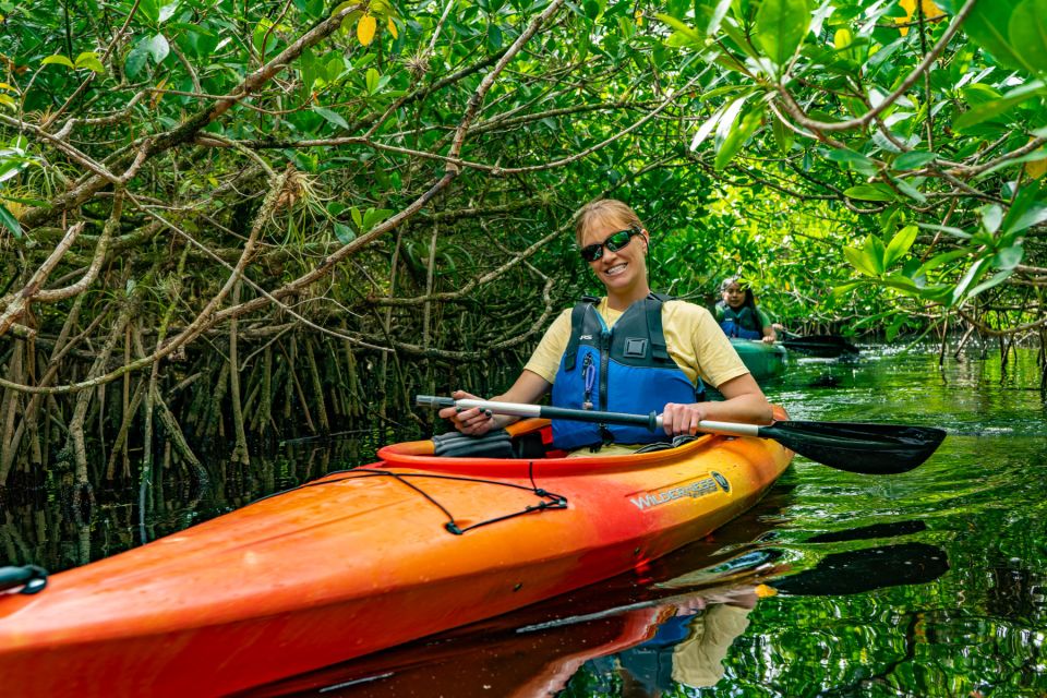 Everglades: Guided Kayak and Airboat Tour - Guided Kayak Tour Through Mangroves