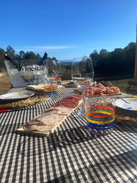 Exclusive Penedes Wine Tour & Brunch in the Vineyard - Highlights of the Experience