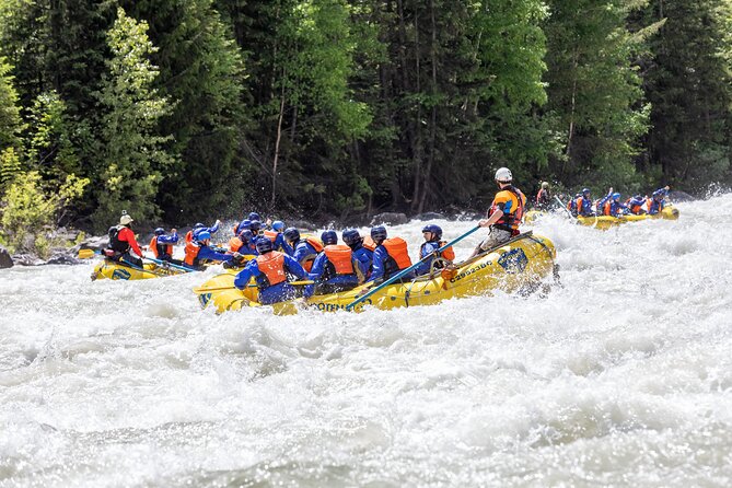 Extreme Whitewater Rafting on Kicking Horse River - Stunning Kicking Horse Landscape