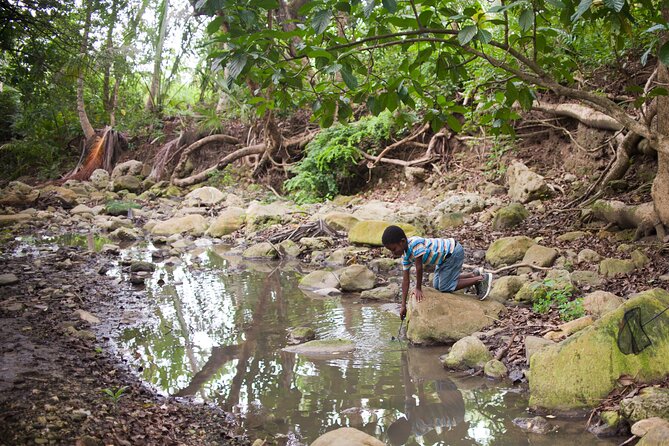 Five Hour Day Pass: 3 Hour Fun Hike and Challenges/Great Experiences/Bajan Lunch - Pickup and Meeting Point