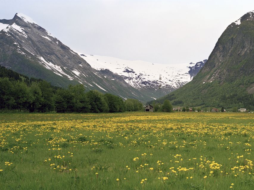 Fjords: Private Trip With Train and Cruise Ride - Included Activities