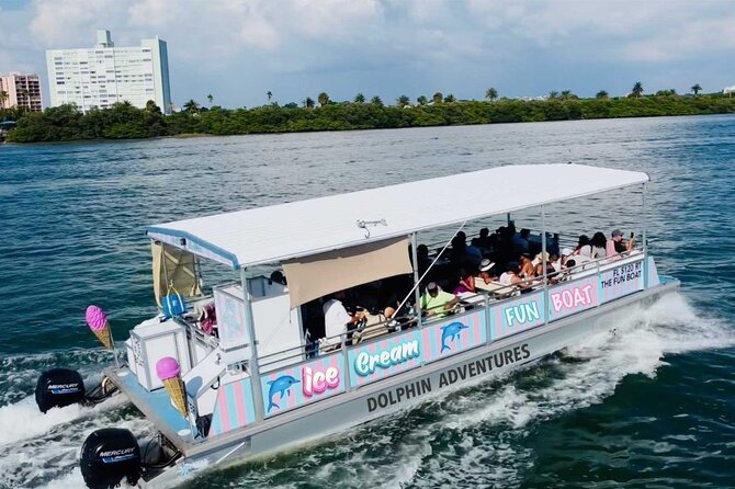 !! Flippers Fun Boat !! Dolphin Tour Adventure Clearwater Beach! - Sightings and Experiences