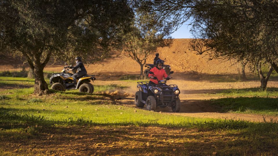 From Albufeira: Full-Day Off-Road Quad Tour - Terrain and Highlights