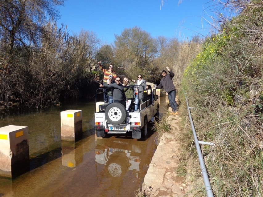 From Albufeira: Half-Day Algarve Jeep Safari - Highlights of the Experience