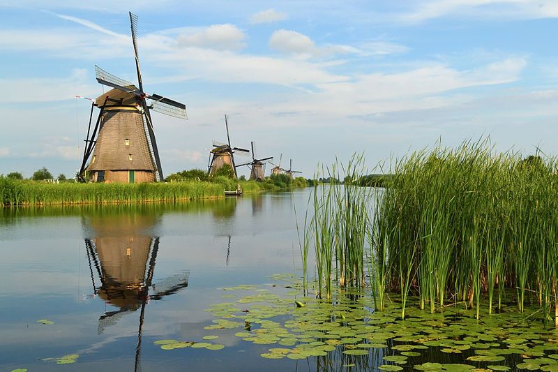 From Amsterdam: Kinderdijk and the Hague Tour With Museums - Itinerary and Activities