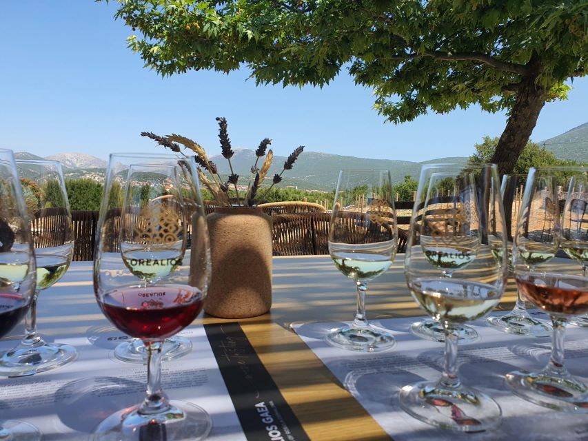 From Argostoli: Private Wine Tasting & Vineyard Tour - Pricing and Cancellation