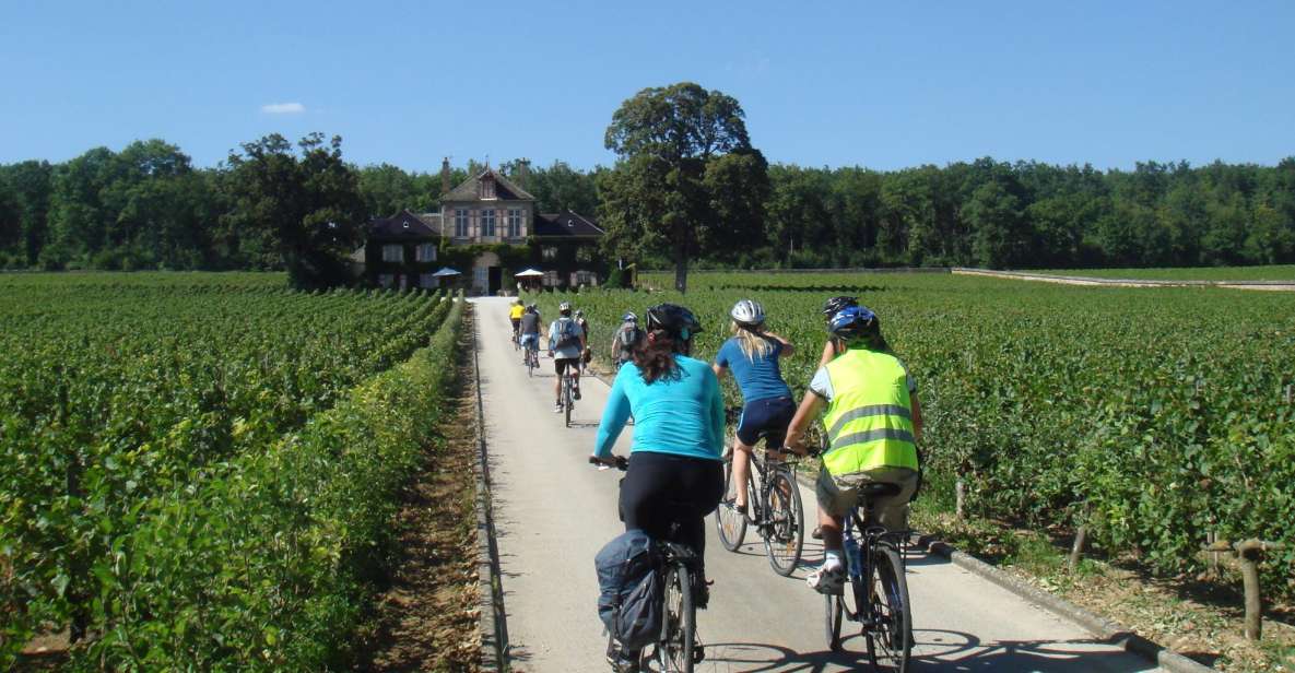 From Beaune: Full-Day Bicycle and Wine Tour in Burgundy - Tour Activities