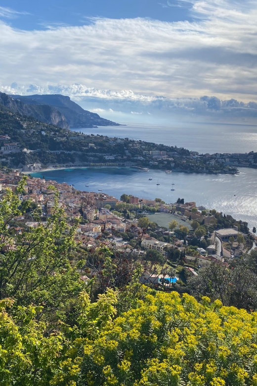 From Cannes: Eze and Monaco Small Group Tour - Transportation in Luxury Minivan