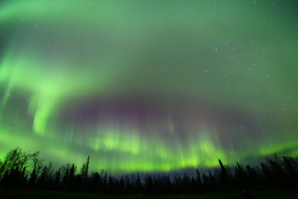 From Fairbanks: Northern Lights & Murphy Dome Tour - Price and Duration