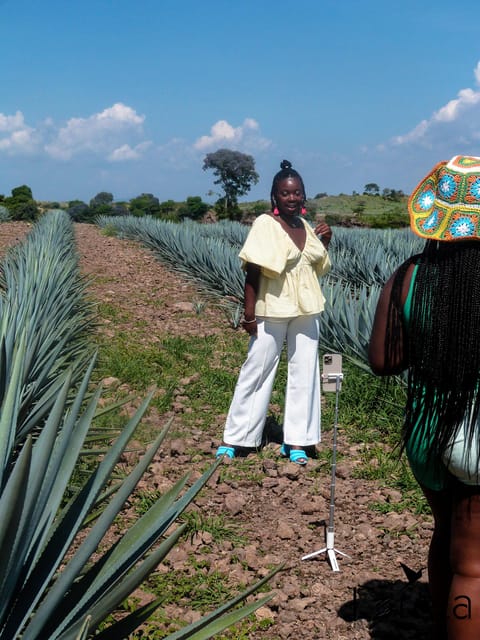 From Guadalajara: Tequila Factory and Panoramic Swing Tour - Tequila Selecto Factory