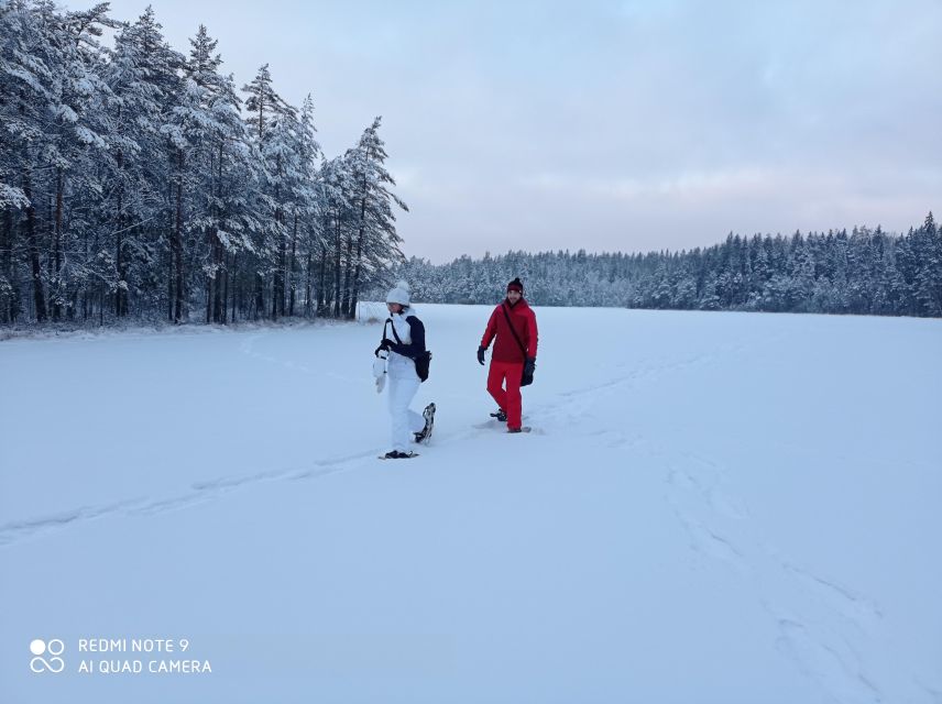 From Helsinki: Nuuksio National Park Hiking Tour With Food - Activities and Experiences