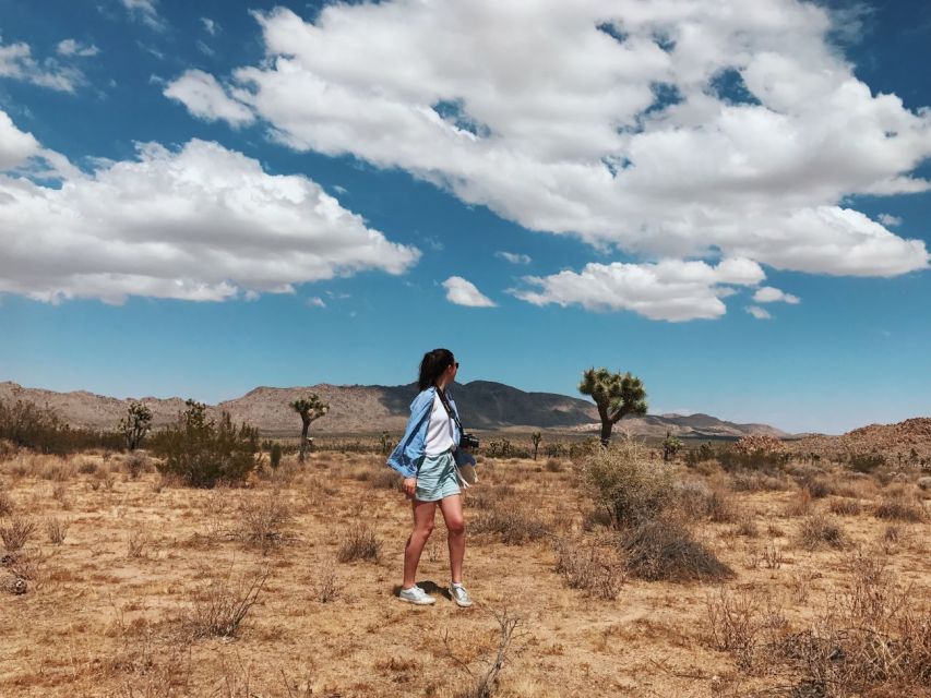 From Las Vegas: 4-Day Hiking and Camping in Joshua Tree - Itinerary Overview