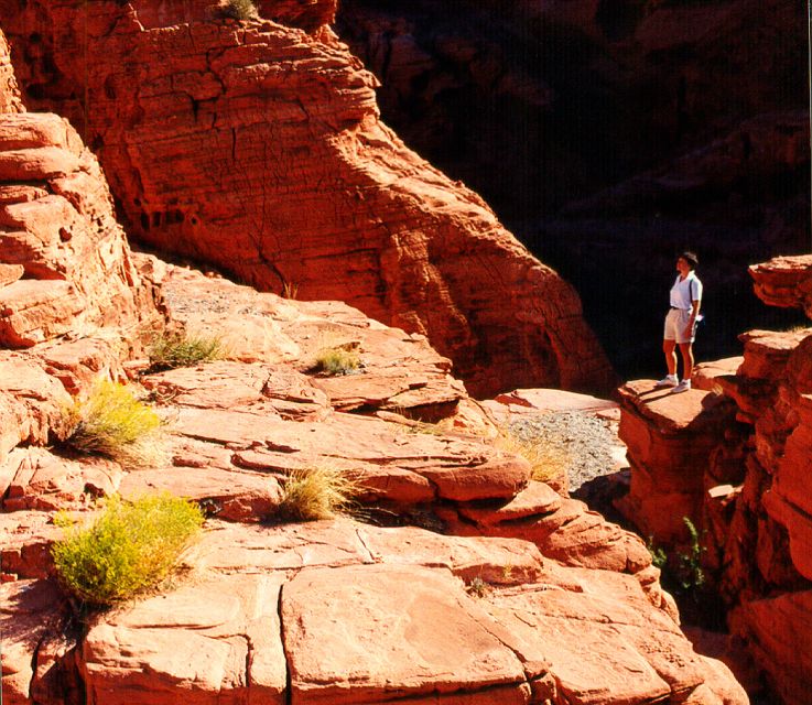 From Las Vegas: Valley of Fire Tour - Journey Back 3,000 Years