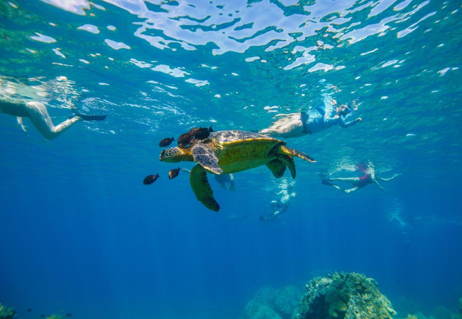 From Maalaea: Turtle Town 3-Hour Snorkel and Sail Adventure - Detailed Trip Itinerary