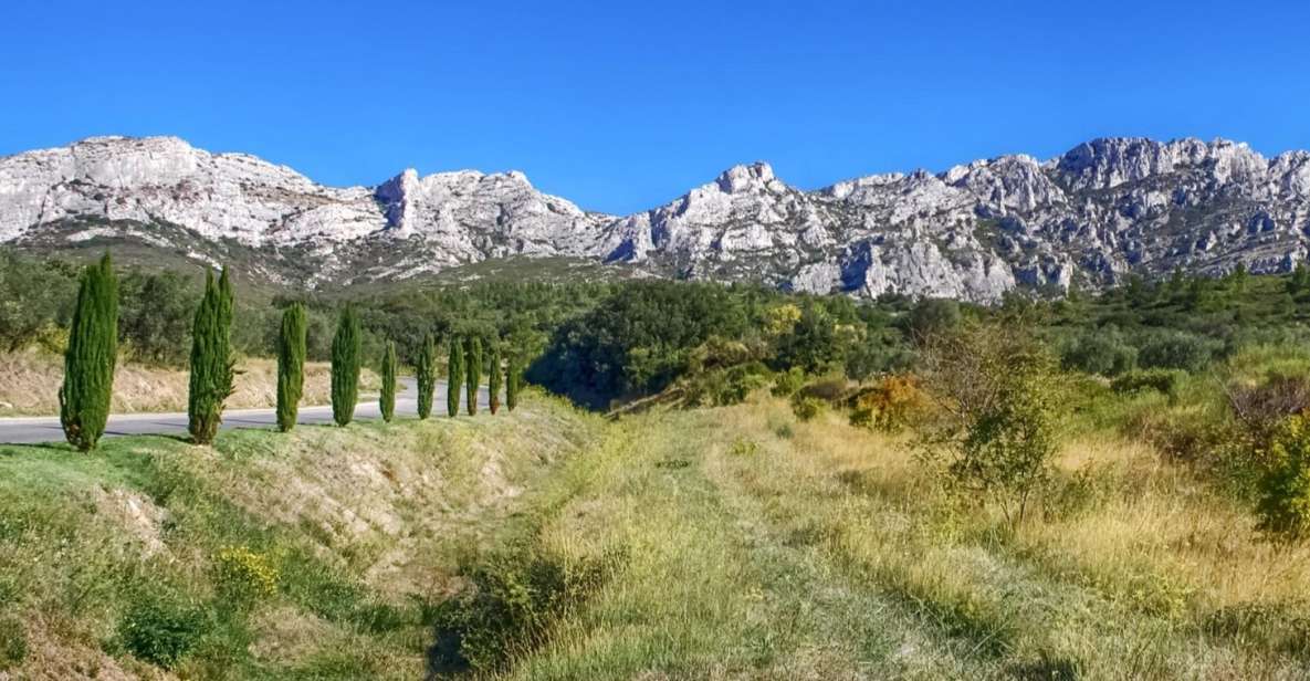 From Marseille: Full-Day Les Baux De Provence Wine Tour - Inclusions