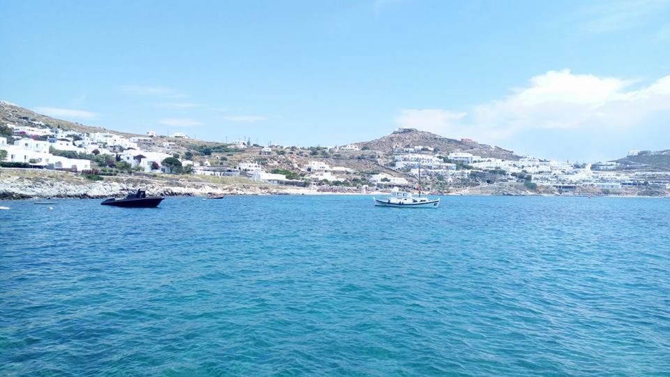 From Mykonos: Full-Day Ancient Delos & Rhenia Island Cruise - Itinerary Highlights