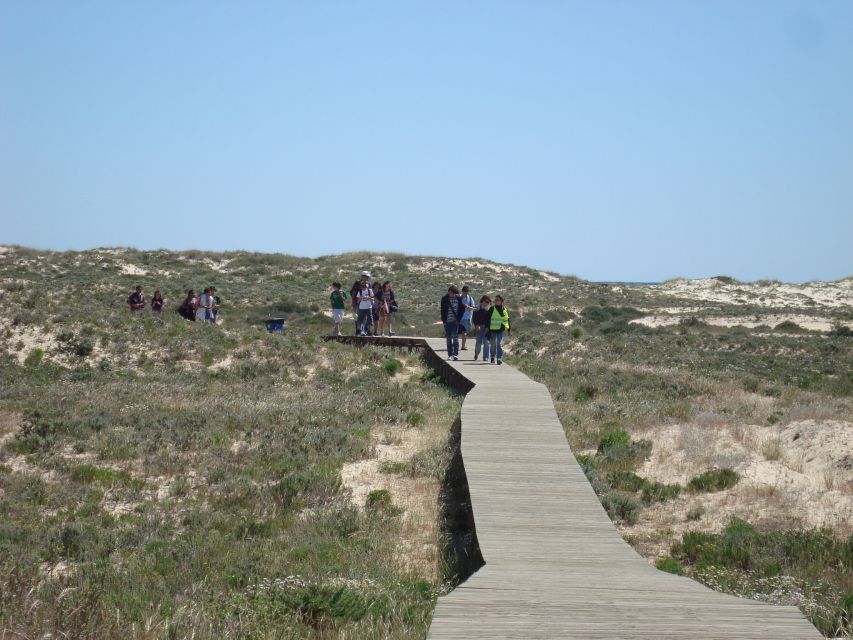 From Olhão: Ria Formosa & Culatra Island 3.5-Hour Boat Trip - Departure and Language