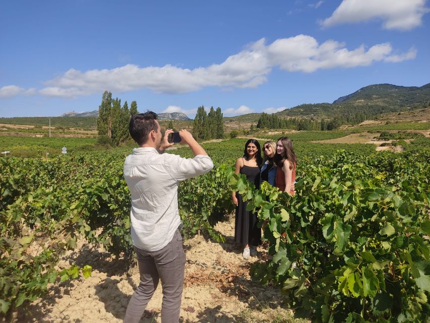 From Pamplona or Logroño: Rioja Wineries Day Trip With Tasting - Private Tour Option