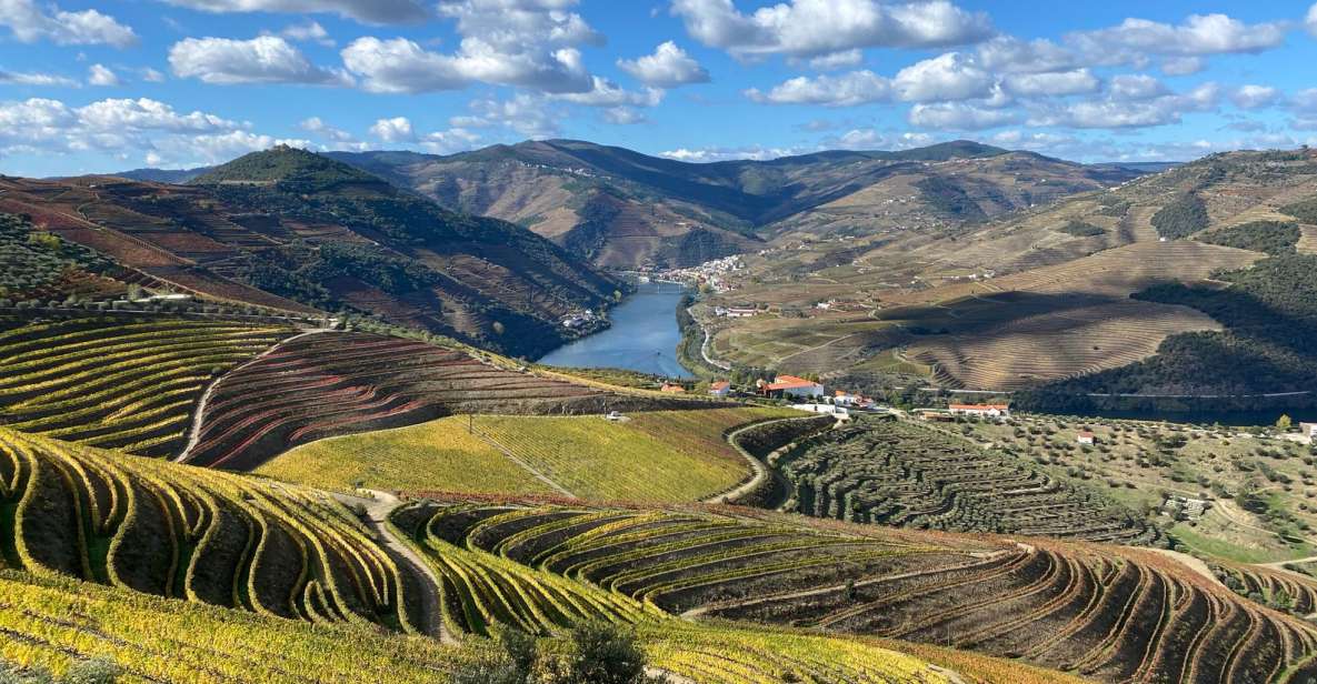 From Porto: Private Douro Valley Tour and Boat Cruise - Highlights of the Tour