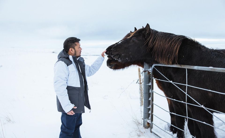 From Reykjavik: Golden Circle Private Tour & Photographs - Highlights of the Tour