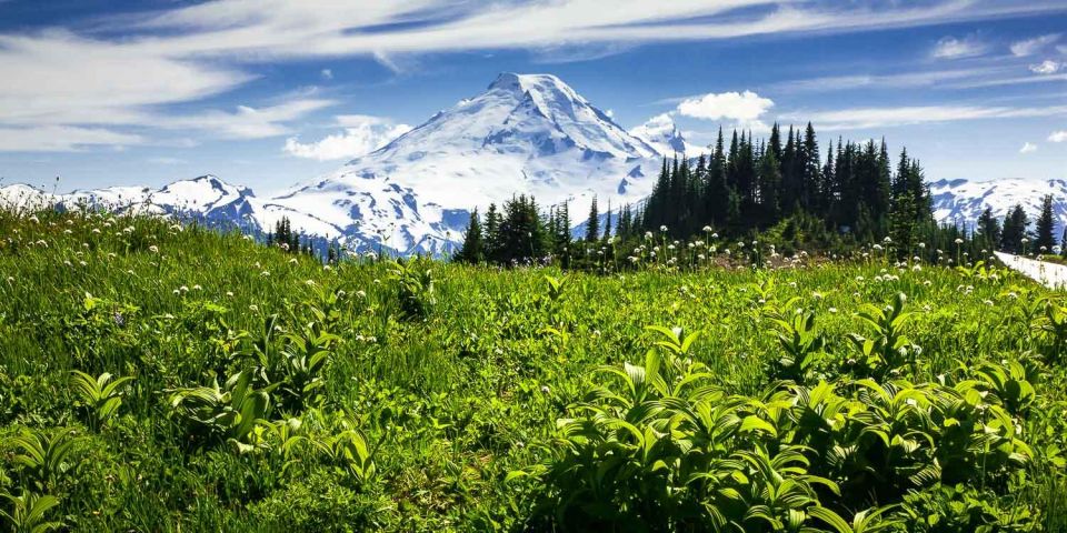 From Seattle - Enchanting Mt Baker & Cascade Mountains Tours - Scenic Highlights Along the Way