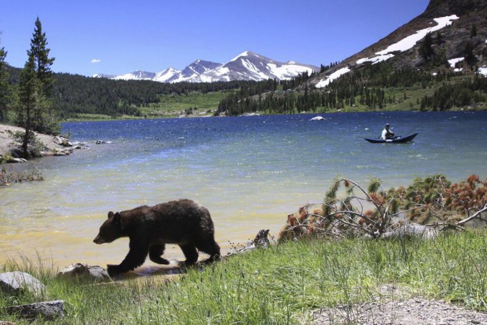 From Sf: Yosemite Day Trip With Giant Sequoias Hike & Pickup - Small Group Tour and Guide