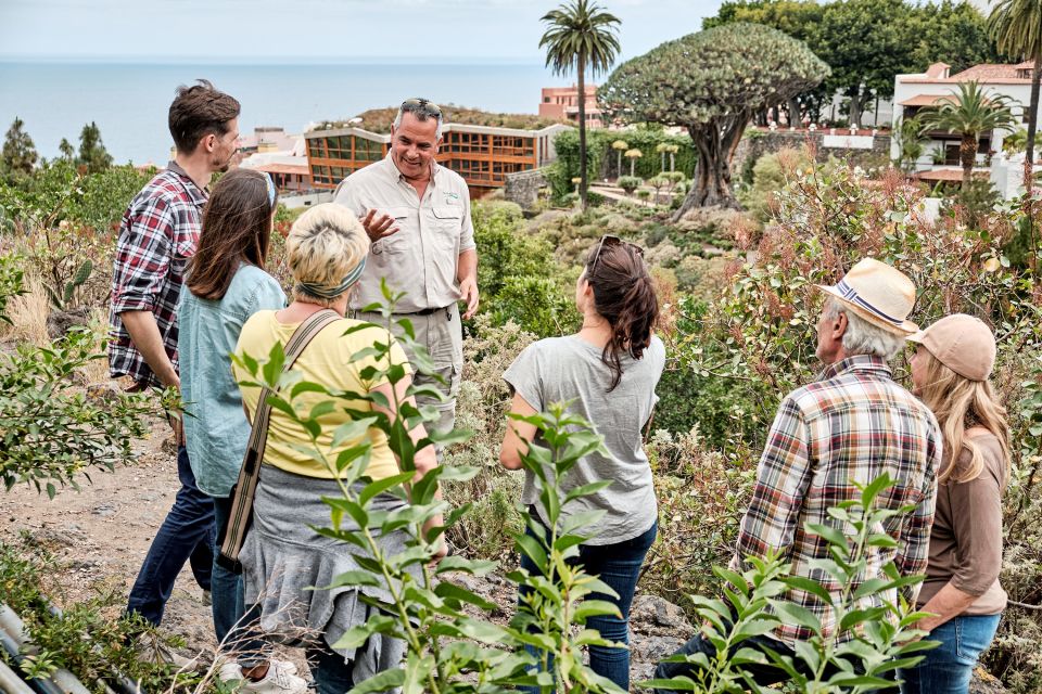 From South Tenerife: VIP Grand Tour Tenerife Island - Pricing and Booking Details