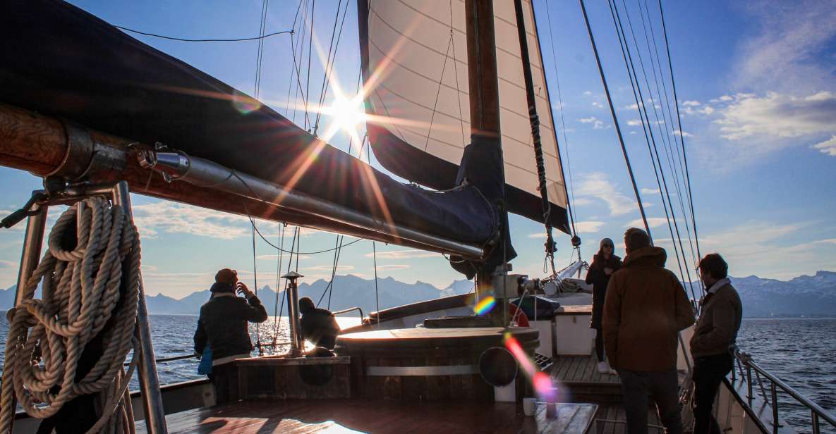 From Svolvær: Lofoten Islands Midnight Sun Luxury Sail - Scenic Lofoten Islands Sail