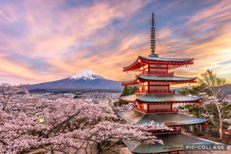 From Tokyo/Hakone/Fuji: Hakone & Mt. Fuji Day Trip W/Pickup - Pricing and Inclusions