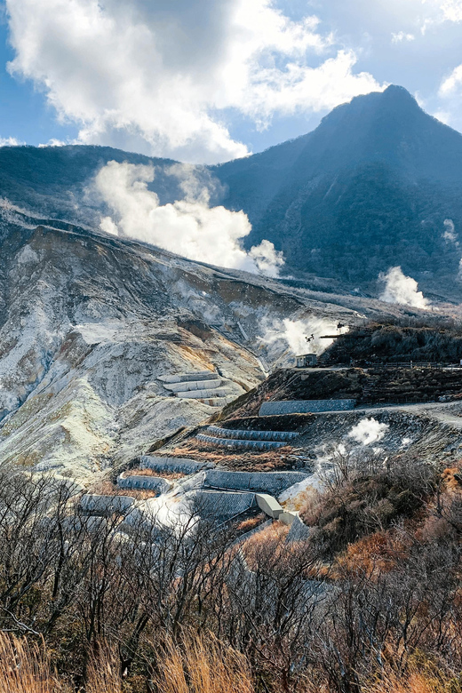 From Tokyo: Private Day Trip to Hakone With English Driver - Pickup and Drop-off Information