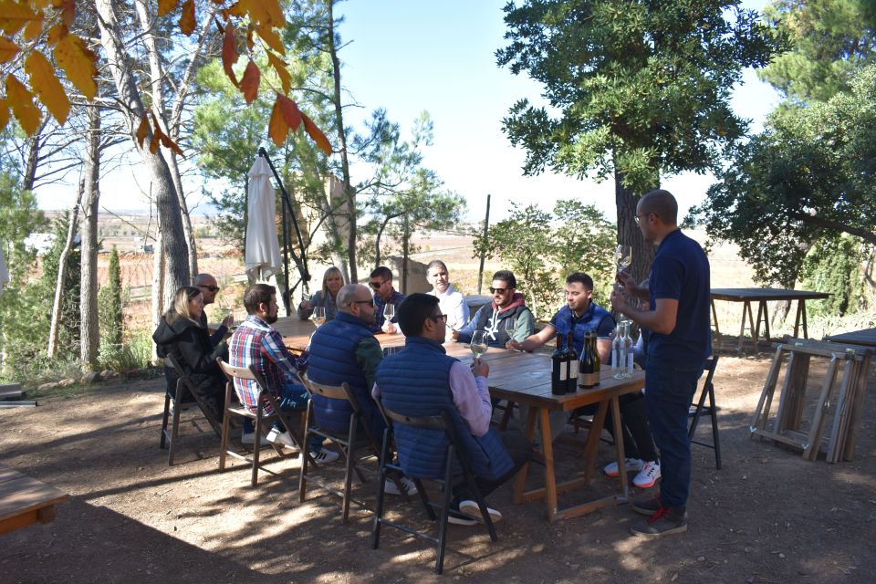 From Valencia: Guided Cheese Factory Tour With Wine Tasting - Experience Highlights