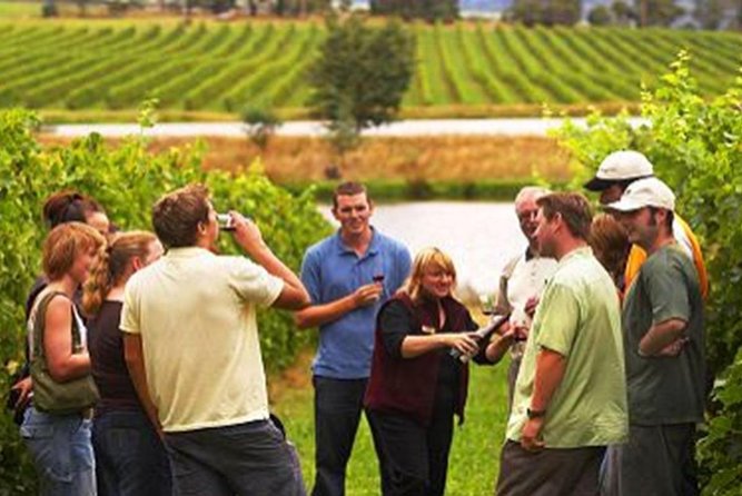 From Victoria to Cowichan Wine 6-Hour Guided Tour - Inclusions and Exclusions