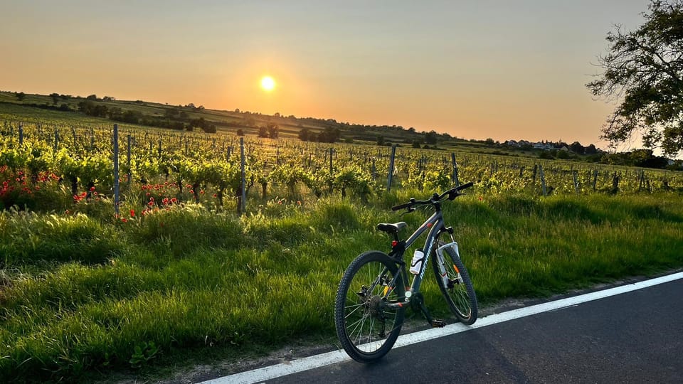 From Vienna: Burgenland Bike and Wine Tasting Tour - Itinerary Highlights