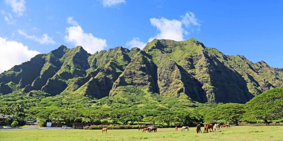 From Waikiki: Circle Island Tour - Tour Highlights