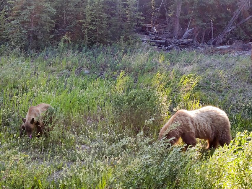 From Whitehorse: Skagway Day-Trip - Emerald Lake Excursion