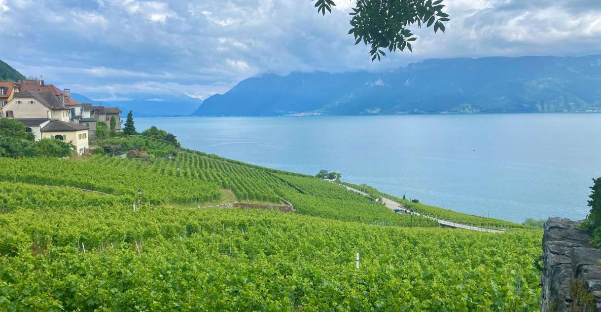 From Zurich: Private Day Trip to Gruyères & Lavaux Vineyard - Itinerary Highlights